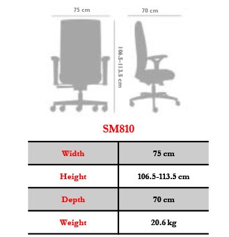 صندلی مدیریتی نیلپر کد SM810